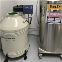 cryosystem6000 Auto FullMVE小型气相液氮罐